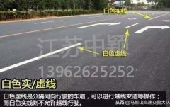 道路交通標線圖文講解，僅花1分鐘讓你快速看懂，再也不會被違章扣分